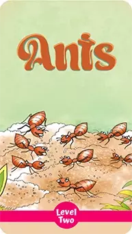 Ants children's story cover