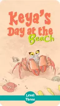 Keya's Day at the Beach children's story cover