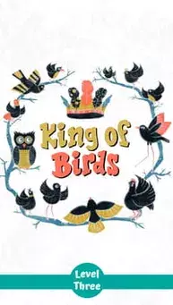 King of Birds children's story cover