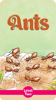 Join Anis and his ant friends on an exciting adventure! Explore Level Two now.